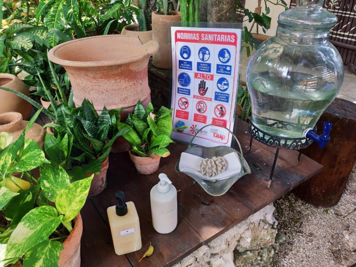 Secret Garden Tulum Hotel מראה חיצוני תמונה