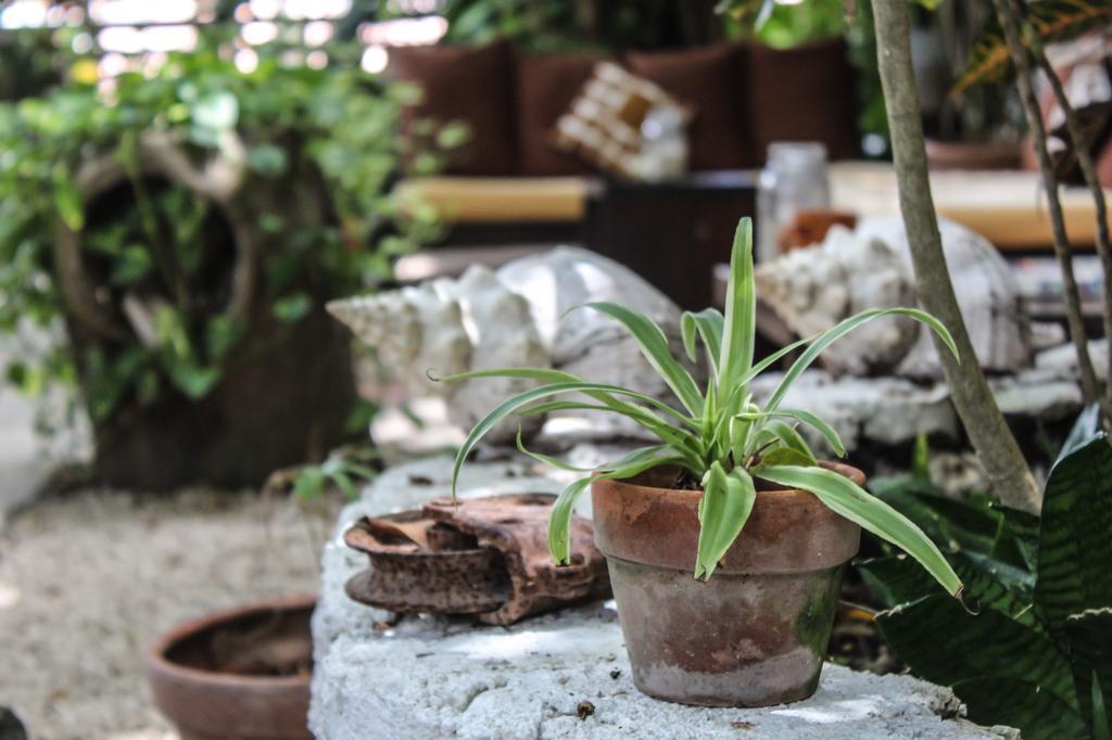 Secret Garden Tulum Hotel מראה חיצוני תמונה