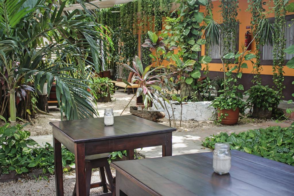 Secret Garden Tulum Hotel מראה חיצוני תמונה