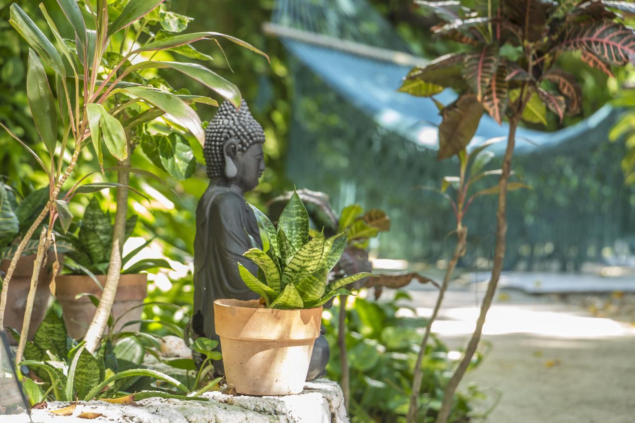 Secret Garden Tulum Hotel מראה חיצוני תמונה