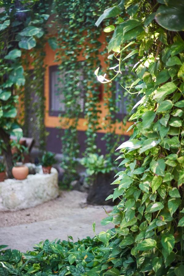 Secret Garden Tulum Hotel מראה חיצוני תמונה